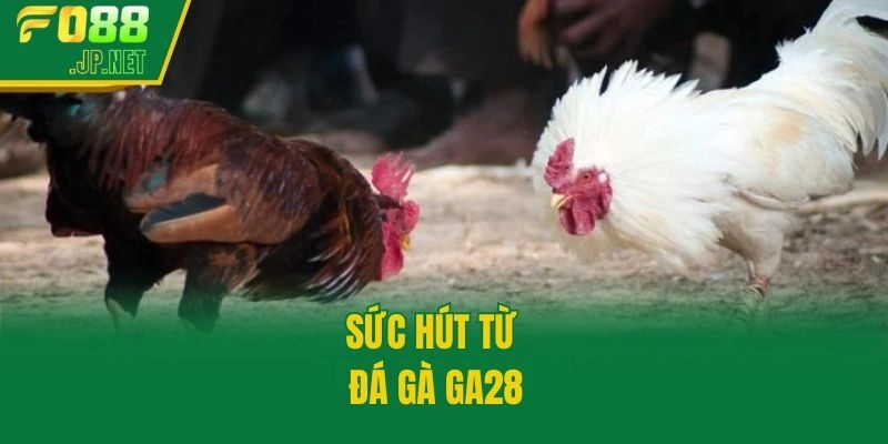 Sức hút từ đá gà GA28